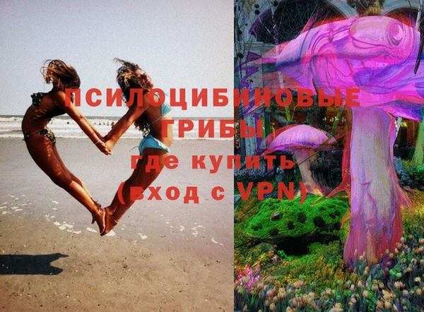 мяу мяу мука Алзамай