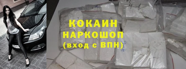гидра Алексин
