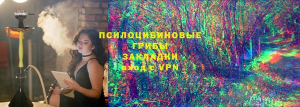 гидра Алексин