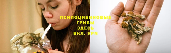 мяу мяу мука Алзамай