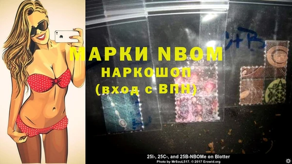 гидра Алексин