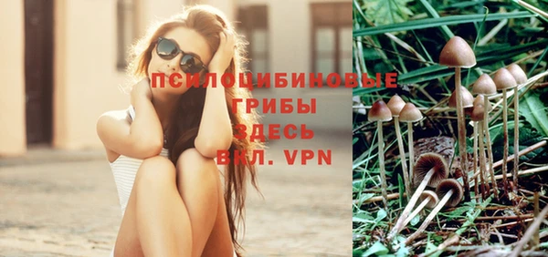 спайс Алексеевка