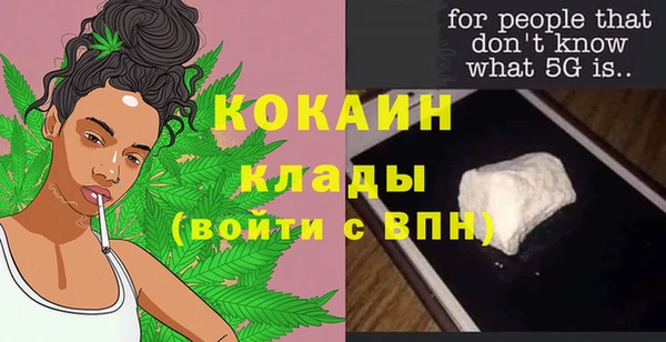 гидра Алексин
